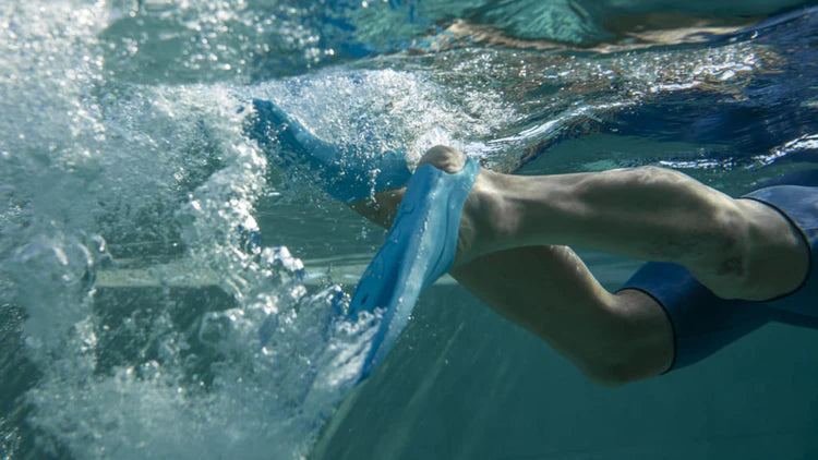 Sailfish Fins