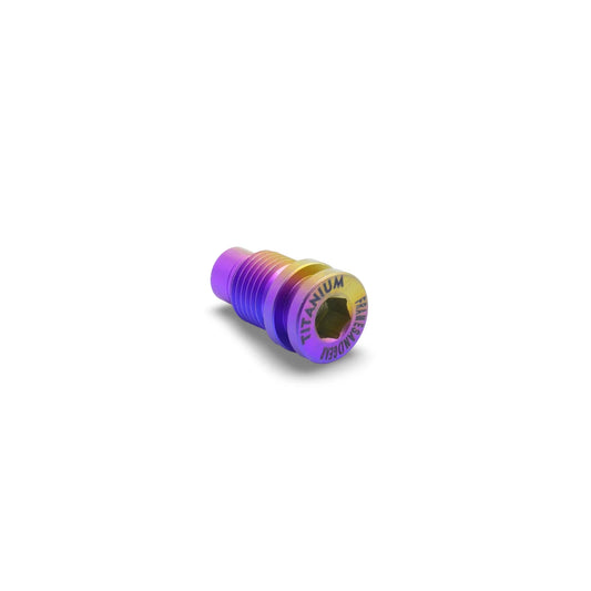 Framesandgear Titanium Derailleur Hanger Bolt